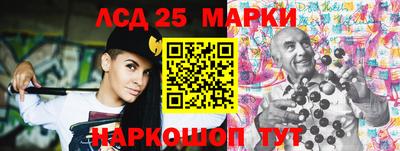 гидра Будённовск