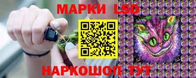 гидра Будённовск
