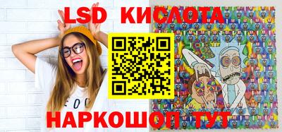 гидра Будённовск
