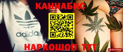 гидра Будённовск