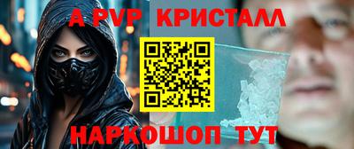 гидра Будённовск