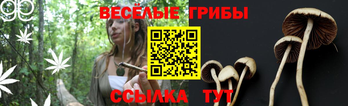 Галлюциногенные грибы мухоморы  Вход с VPN  Назарово 